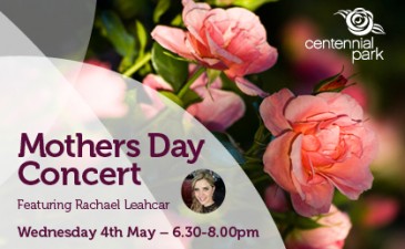 MOTHERS DAY TRIBUTE