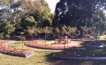 Hibiscus Court Garden Upgrade