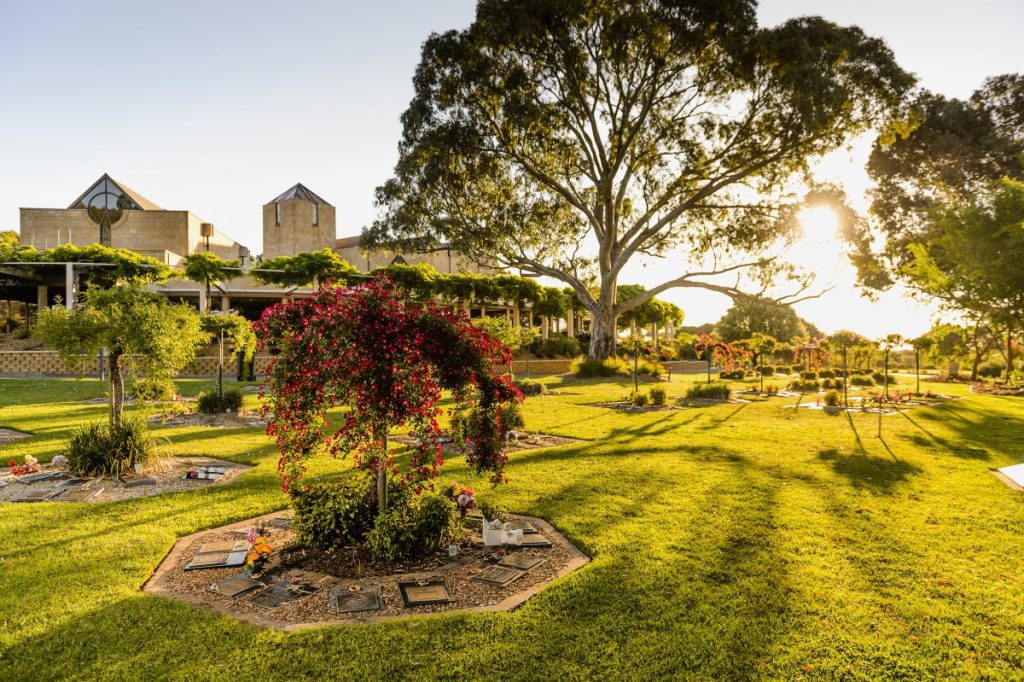 Weeping Rose Garden Centennial Park