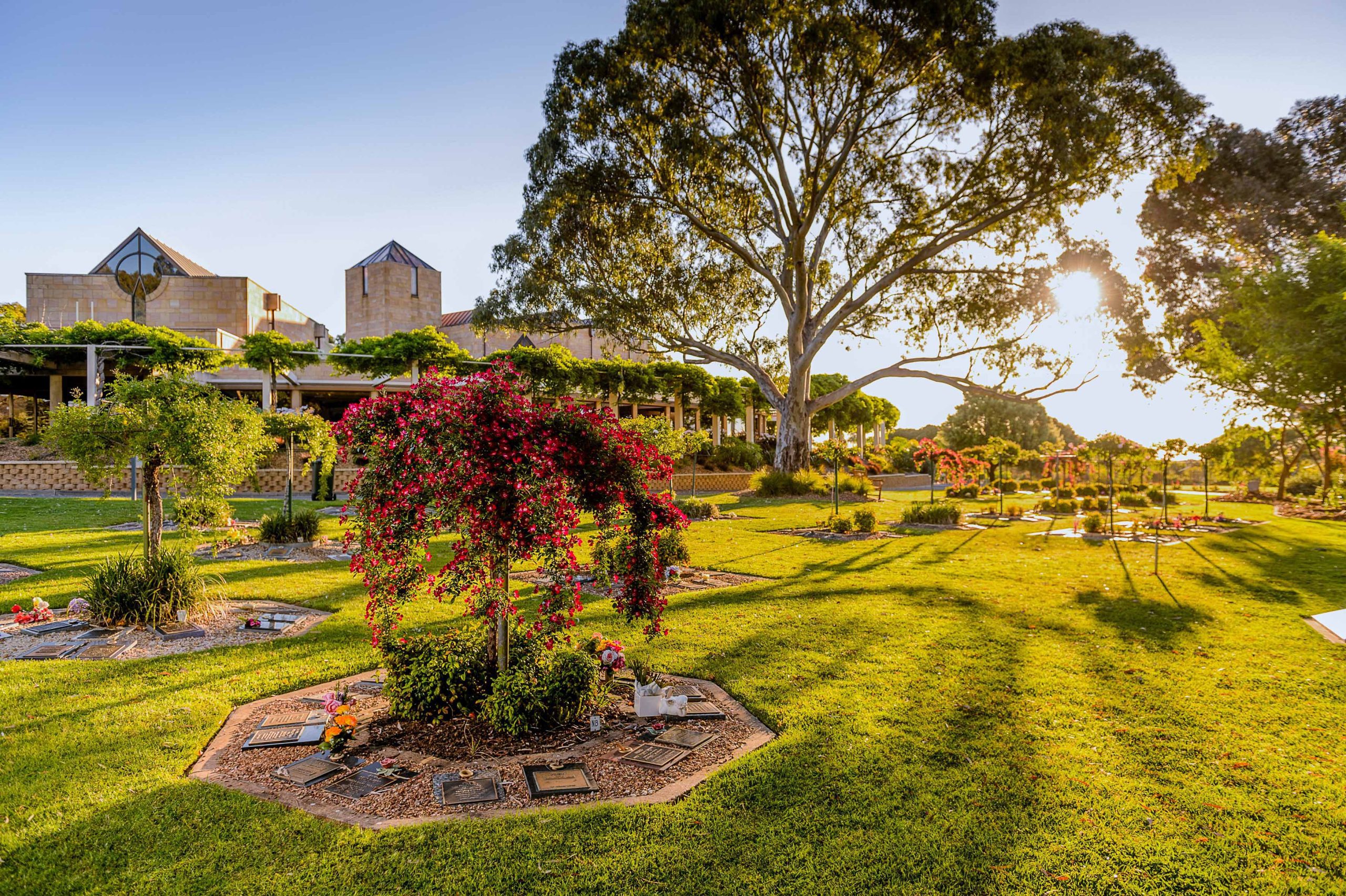 Centennial Park Weeping Rose Garden