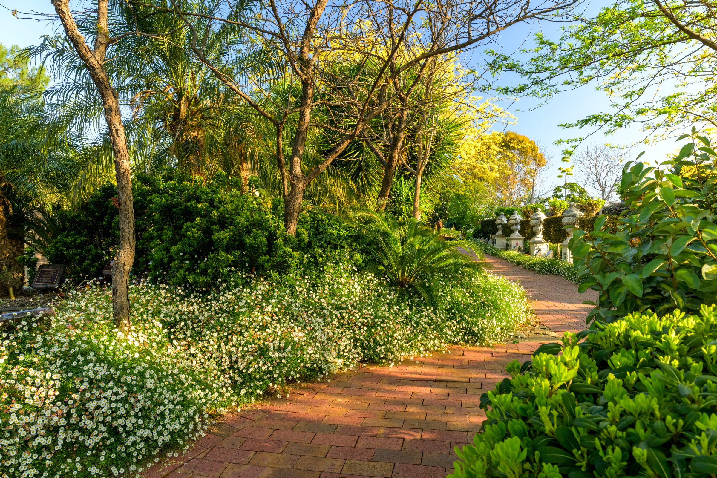 Centennial Park view to beautiful garden path in Adelaide SA